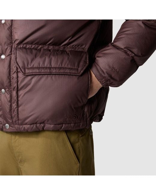 The North Face Brown '71 Sierra Down Jacket for men