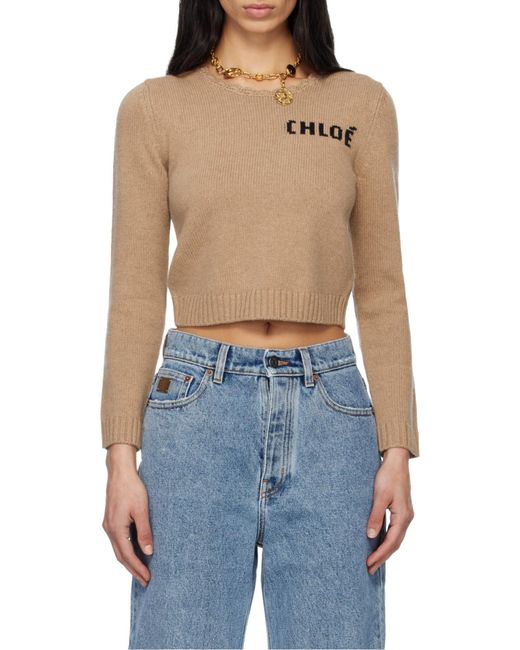 Chloé Multicolor Chloé Logo Detailed Cropped Sweater