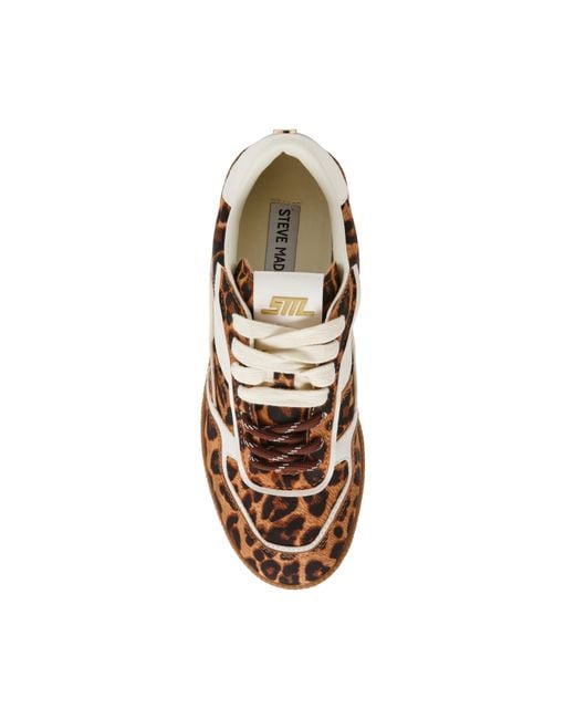 Steve Madden Brown Simple Low-Top Casual Shoes