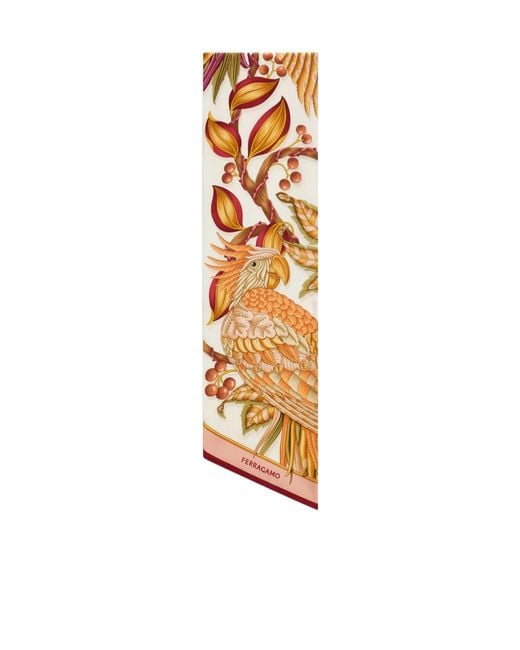 Ferragamo White Parrots Print Bandeau Scarf