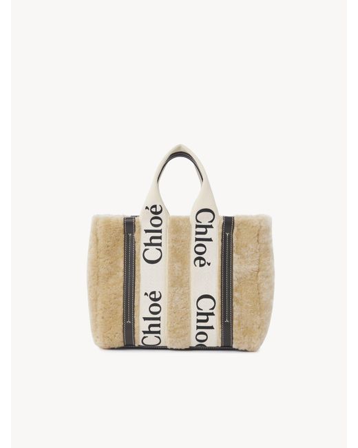 Chloé Metallic Chloé Small Woody Tote Bag