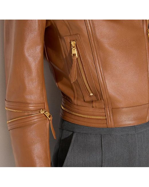 Elisabetta Franchi Brown Zipped Biker Jacket