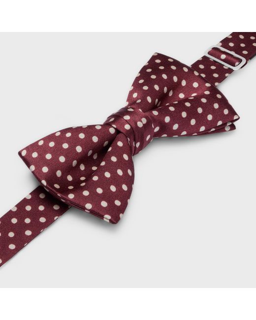 Céline Purple Bow Tie for men