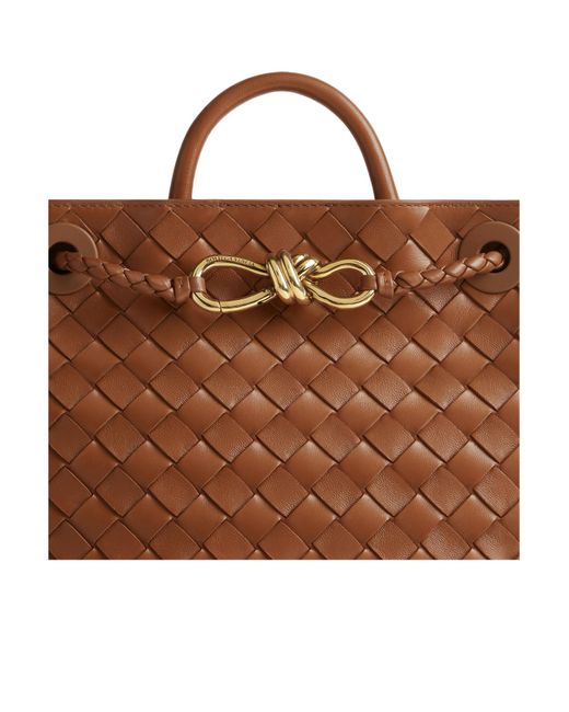 Bottega Veneta Brown Andiamo Small Tote Bag