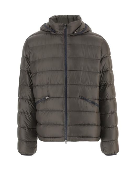 Herno Gray Hooded Padded Jacket for men