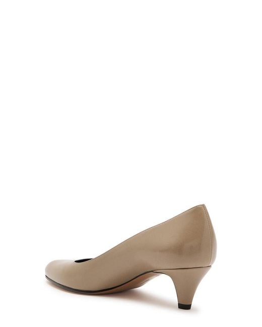 The Row Brown Solid Color Leather Pumps
