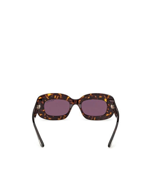 Tom Ford Brown Full Frame Sunglasses