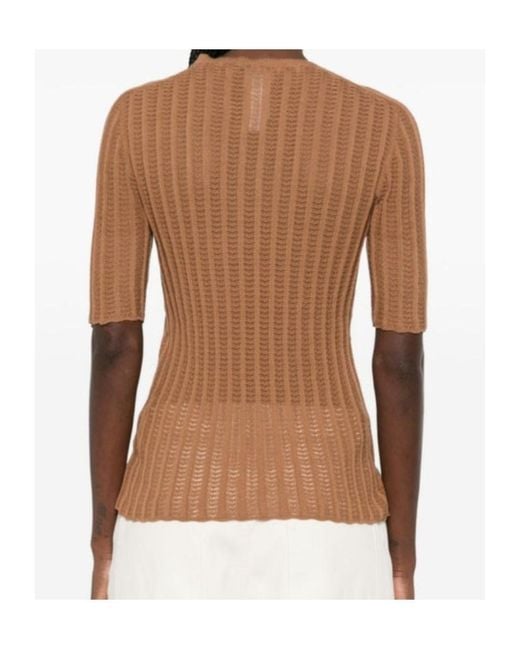 Fabiana Filippi Brown Cotton T-Shirt