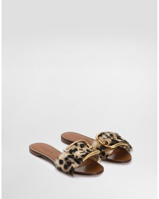 Dolce & Gabbana Multicolor Leo-Print Kid Leather Flat Slippers