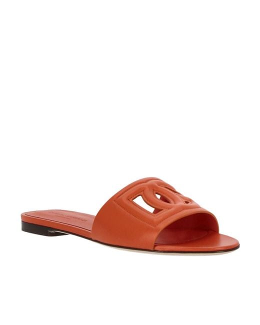 Dolce & Gabbana Brown Dg Cut Out Slides