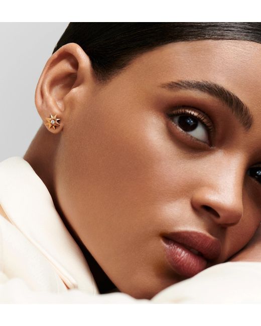 Dior Pink Toile Des Vents Single Earring