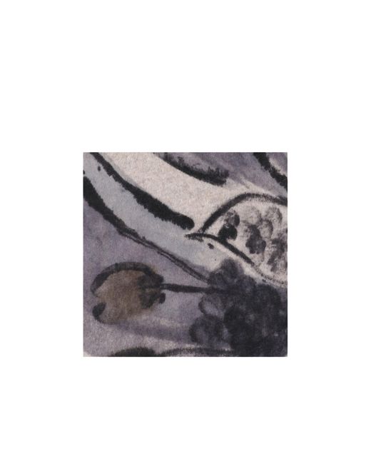 Faliero Sarti Gray Printed Scarf
