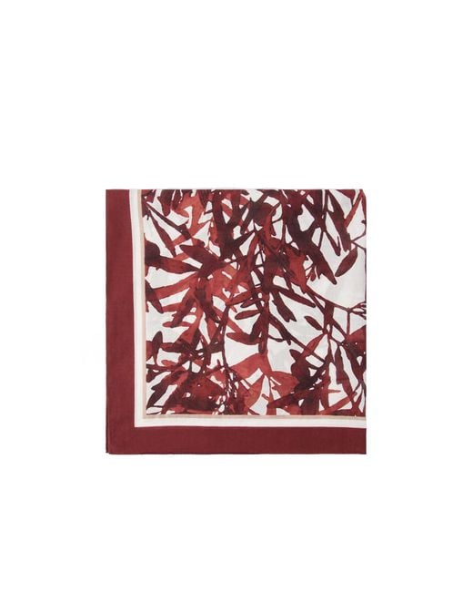 Brunello Cucinelli Red Floral-Printed Striped Edge Scarf