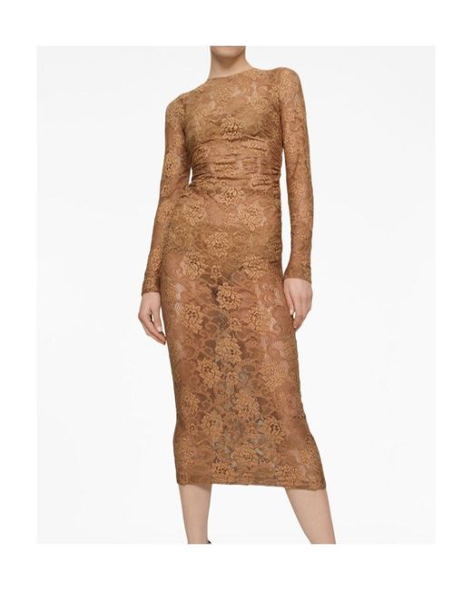 Dolce & Gabbana Brown Chantilly-Lace Crewneck Midi Dress