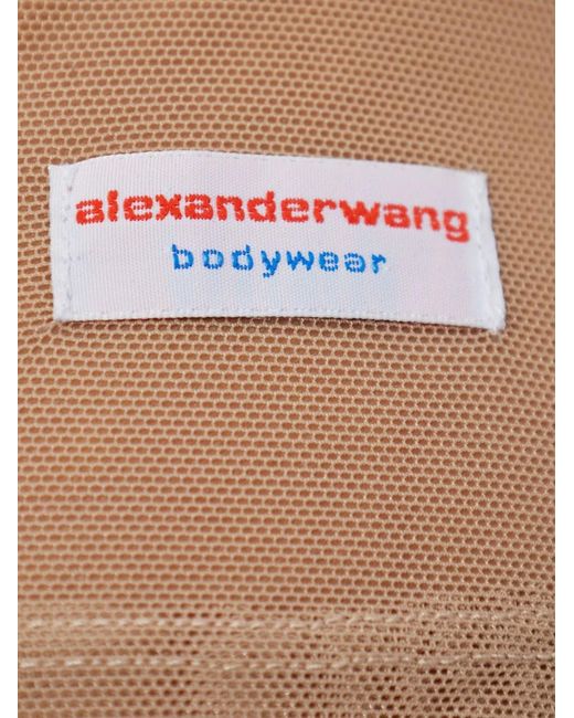 Alexander Wang Natural Bodycon Semi-Sheer Long-Sleeved Top