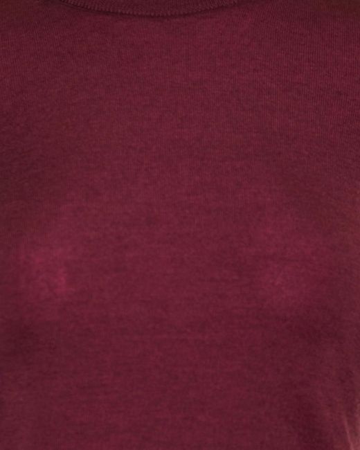 Gabriela Hearst Purple Crewneck Long-Sleeved Top