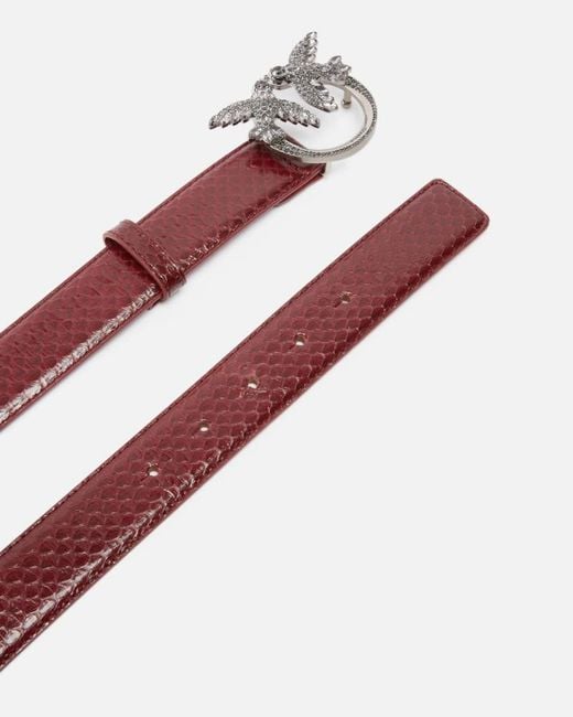 Pinko Multicolor Galleria 3-Cm Belt