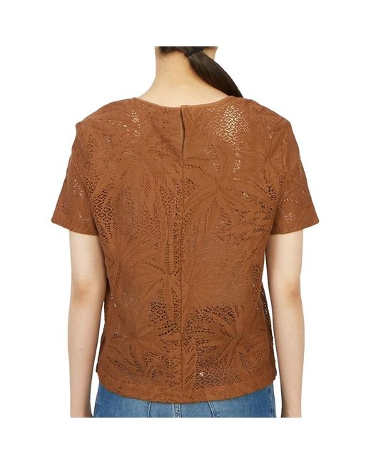 Max Mara Brown Short-Sleeved T-Shirt With Round Neck