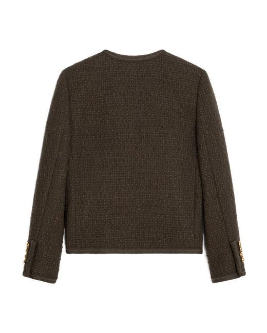 Céline Brown Chelsea Jacket