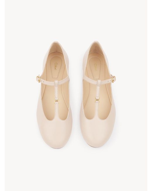 Chloé Pink Chloé Marcie Ballet Flats