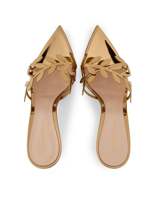 Gianvito Rossi Natural Solid Color Heeled Mules