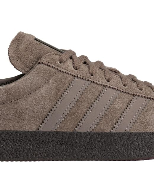 Adidas Brown Solid Low-Top Trainers for men