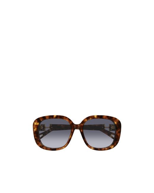Chloé Multicolor Chloé Eyewear Oval Frame Sunglasses