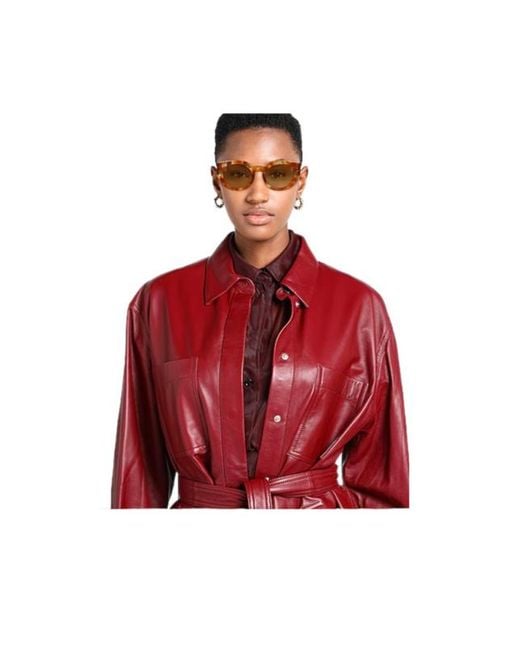 Chloé Natural Colored Round Plastic Frame Sunglasses