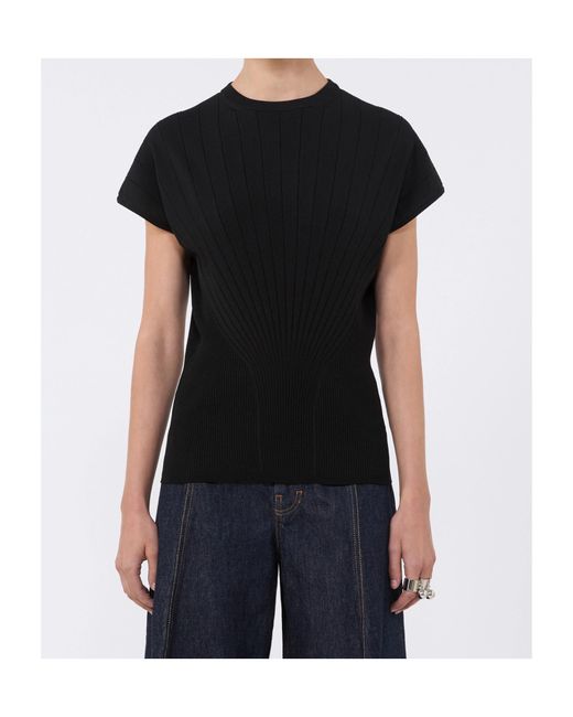 Sportmax Black Spxsamba Fitted Waist Knitted Top