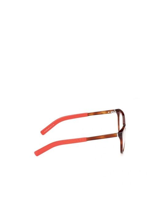 Moncler Multicolor Eyewear Cat-Eye Glasses
