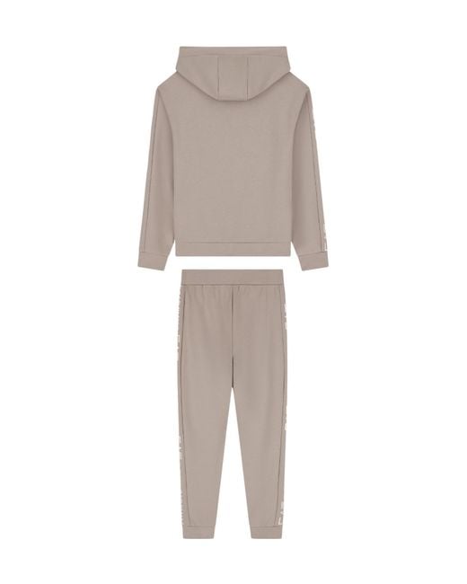 EA7 Gray Cotton Suit Tracksuit With A Hood And Logo Tape Tracksuit