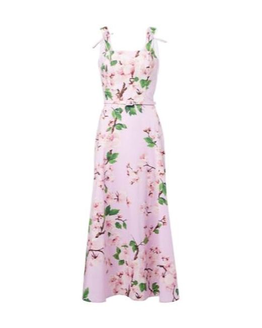Oscar de la Renta Pink Floral Cotton-Blend Midi Dress