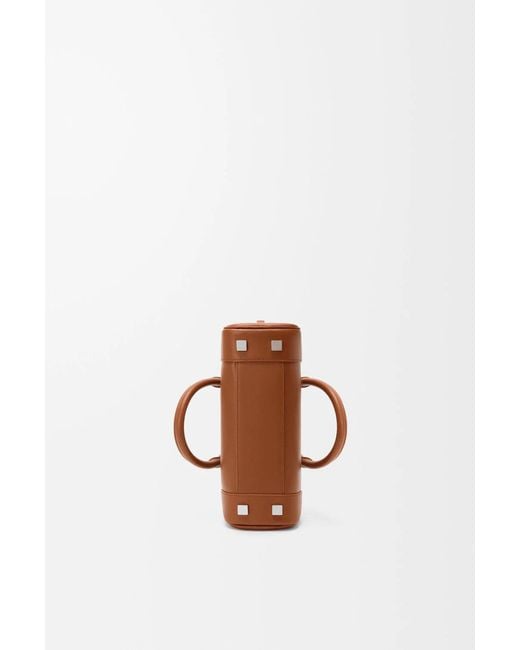Loewe Brown Amazona 23 Cropped Bag