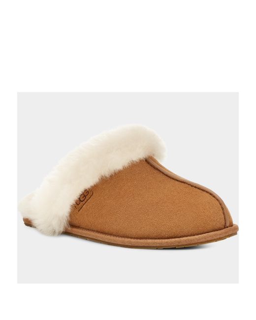 Ugg Brown Round Head Slippers