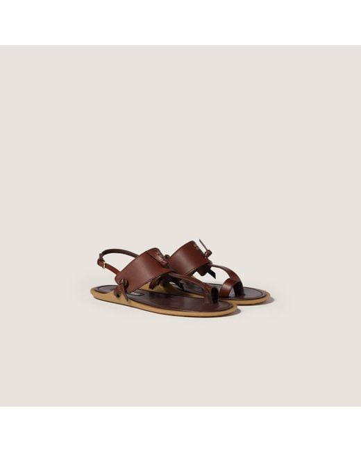 Miu Miu Brown Leather Thong Sandals