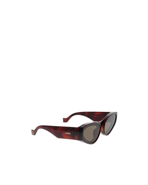 Loewe Multicolor Cat Eye Frame Sunglasses for men