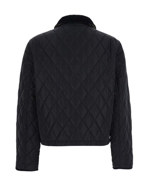 Burberry Black Light Jackets