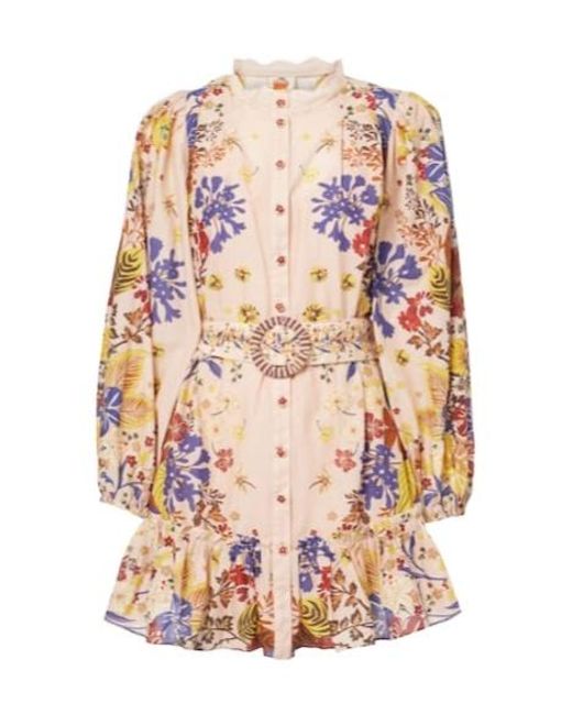 Farm Rio Pink Belted Mini Dress