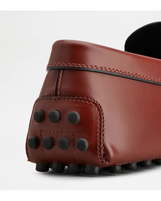 Tod's Brown Gommino Loafers for men
