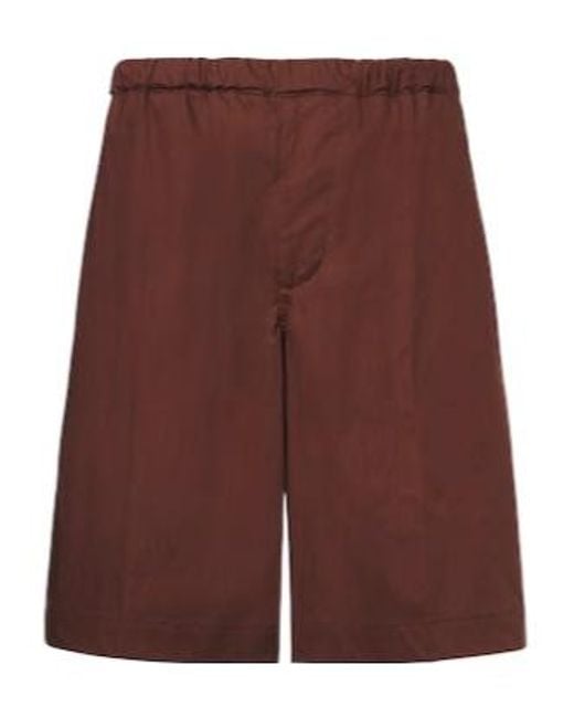 Plan C Purple Straight-Leg Shorts for men