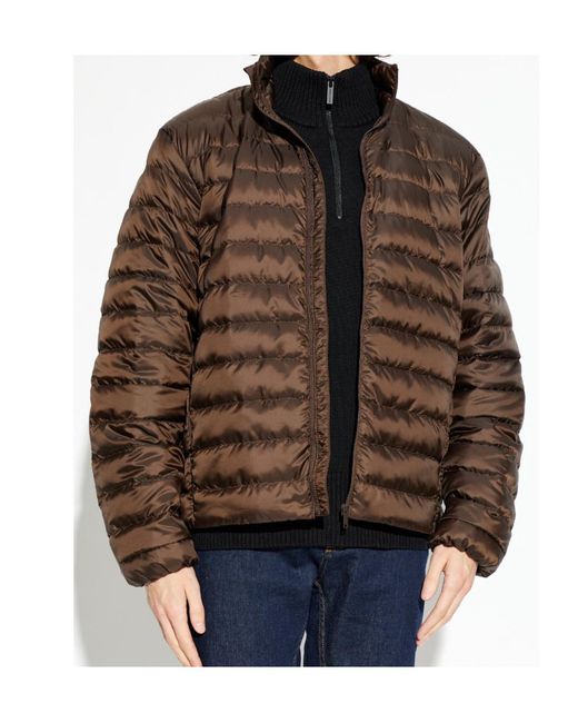 Canada Goose Brown Stand-Collar Down Jacket for men