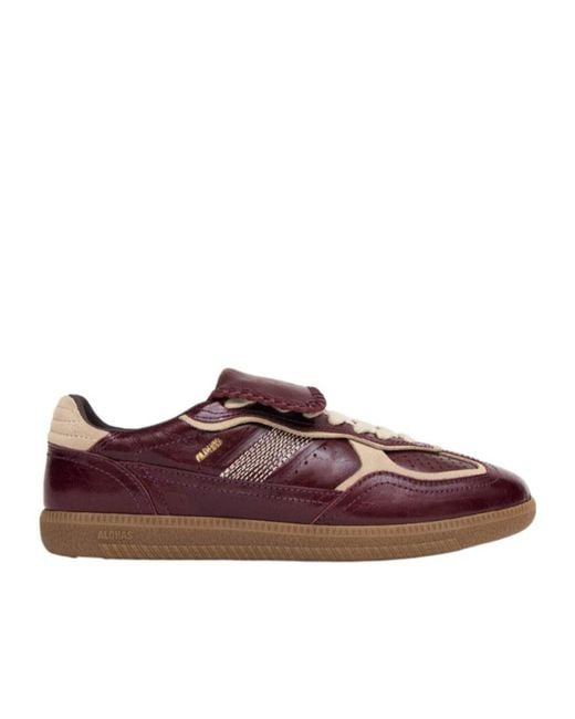 Alohas Brown Tb.490 Club Sneakers