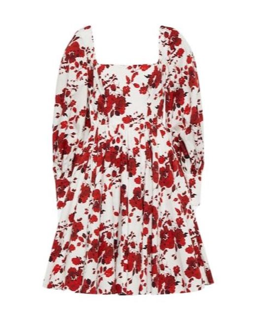 Emilia Wickstead Red Yasmina Floral Cotton Minidress
