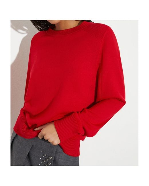 MAX&Co. Red Long-Sleeved Sweater