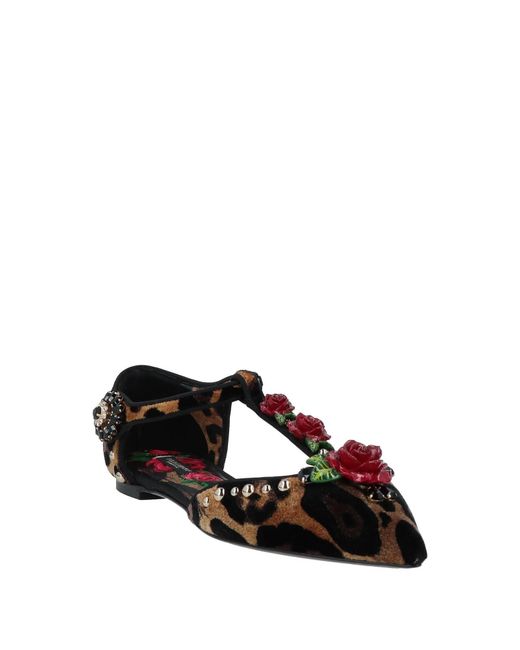 Dolce & Gabbana Brown Floral Ballet Shoes