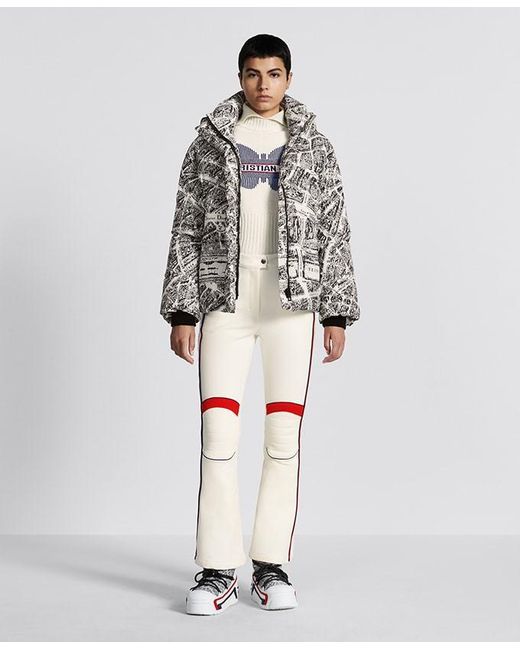 Dior Gray Alps Hooded Down Jacket