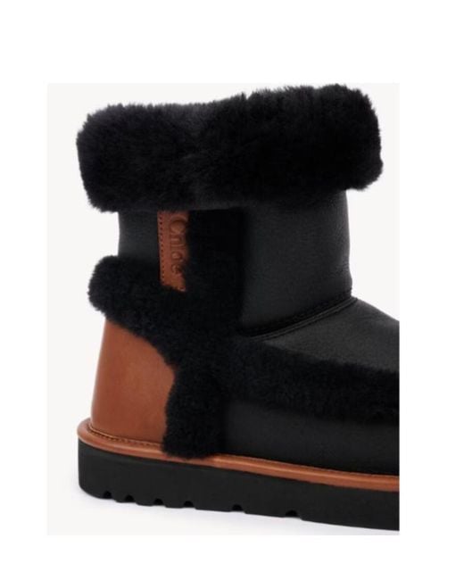 Chloé Black Chloé Dolcie Ankle Boots