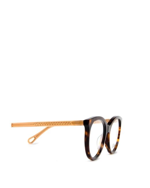 Chloé White Chloé Eyewear Cat-Eye Glasses