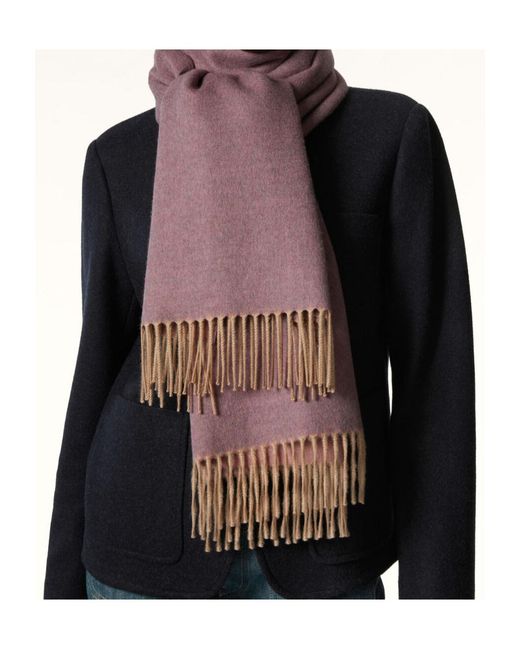 Loro Piana Purple Two Tone Stole