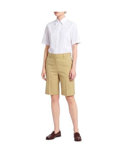 Sportmax Natural Minimal Solid Shorts